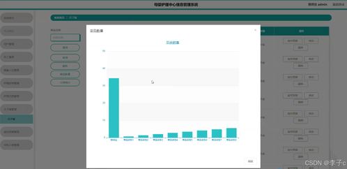 基于SpringBoot与Vue的母婴护理中心信息管理系统设计与实现